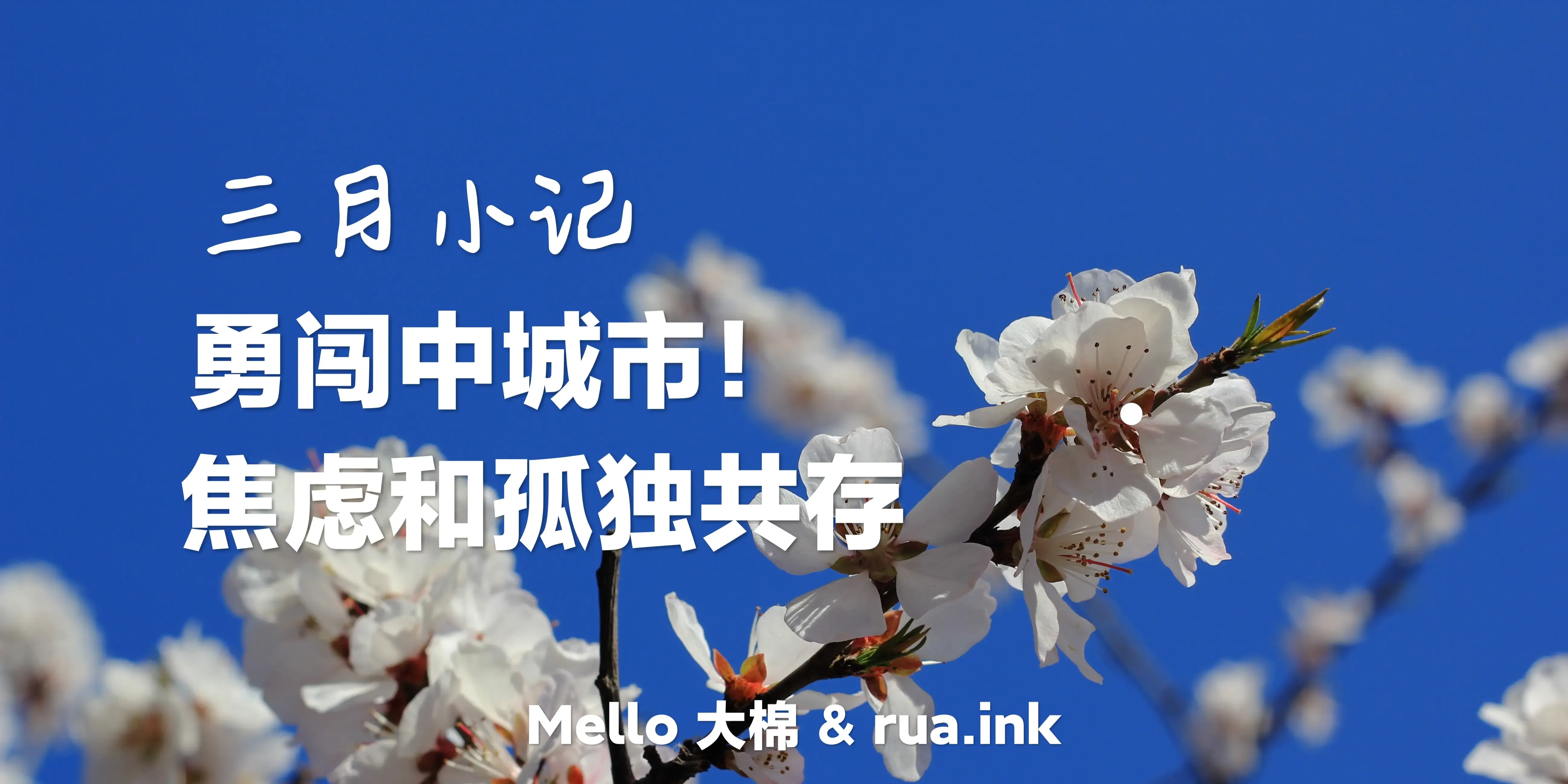 封面 封面